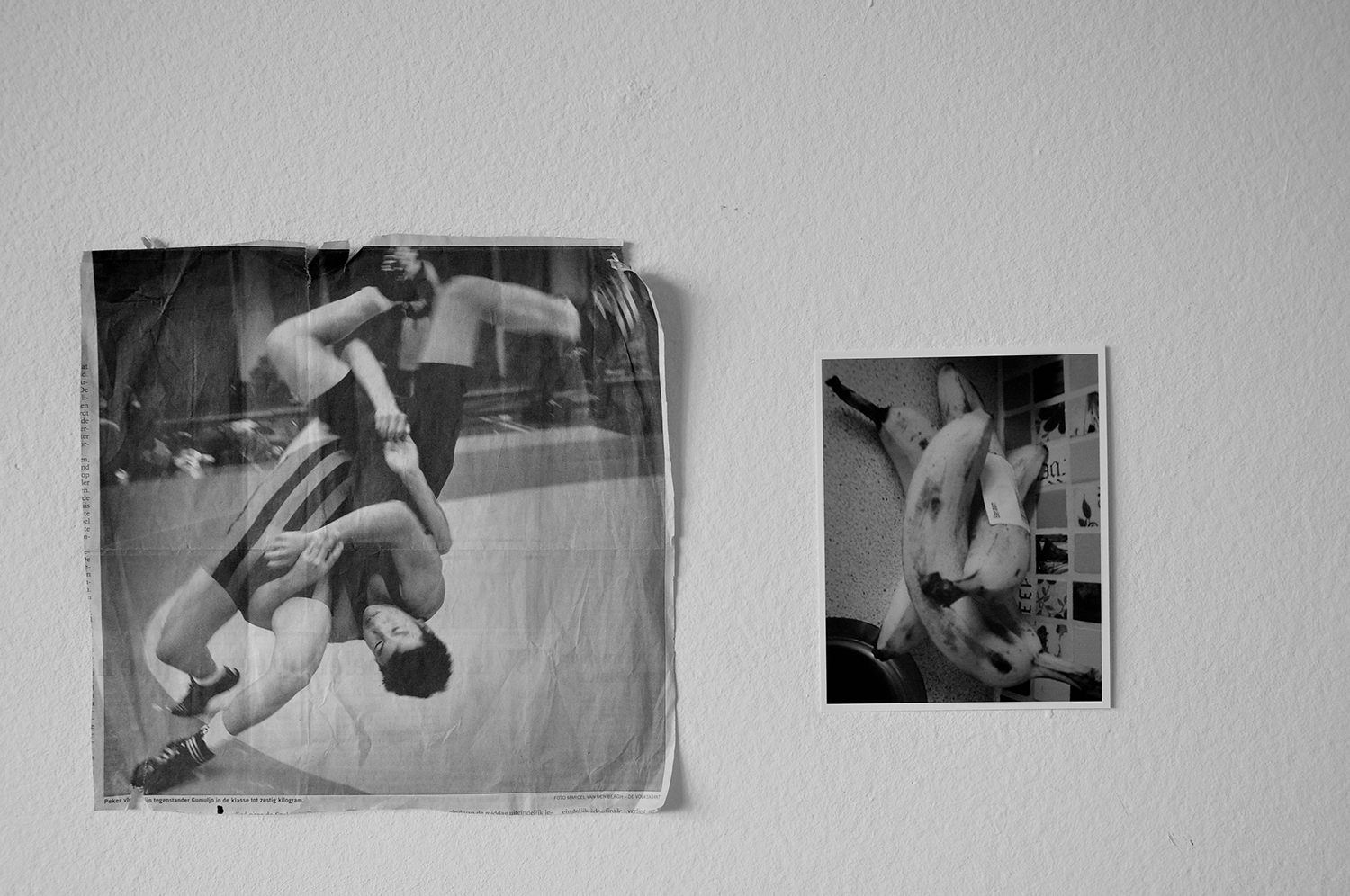 Anja Vermeer,untitled , 2014 Anja Vermeer,untitled , 2014
